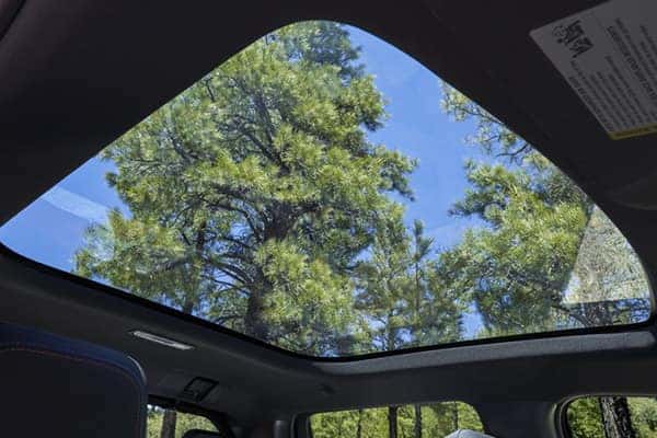 View of tall green pine trees and a clear blue sky seen through a sunroof from inside a car.