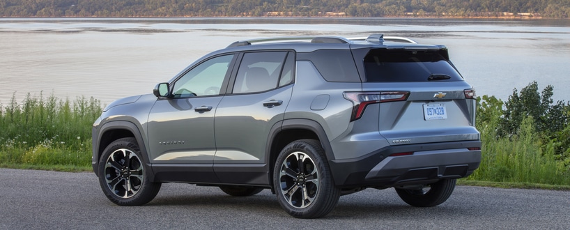 A person in a pink top and blue pants stands behind a green SUV parked on the side of a road. Theyre reaching towards the cars back. A grassy park with trees and people is visible in the background under a clear sky.