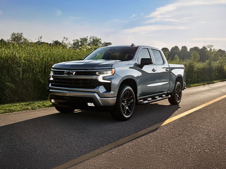 Silver pickup truck parked on a rural road, surrounded by greenery under a clear sky.