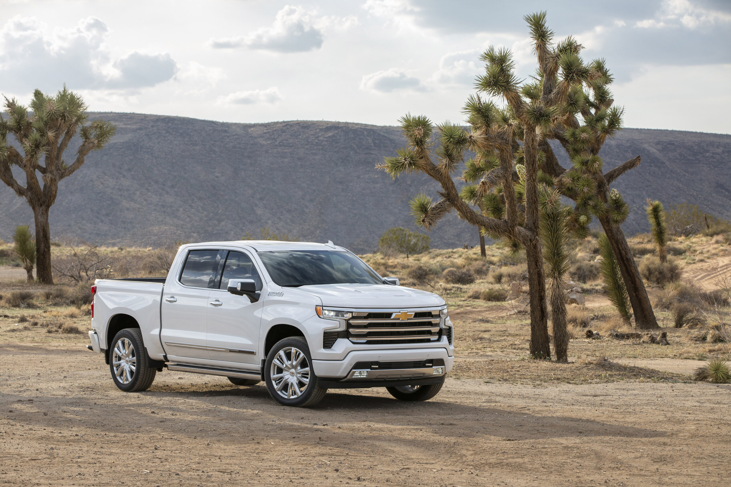 White Chevrolet truck parked in a desert landscape with Joshua trees and mountains in the background.